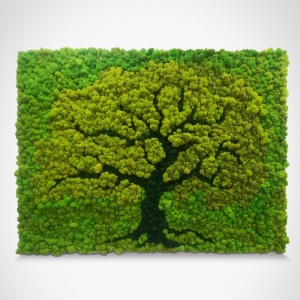 Фитопанно "Дерево жизни"