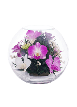 Цветочная композиция "Лиловая орхидея"
