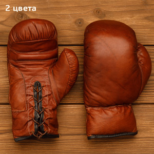 Боксерские перчатки "Воля к победе"