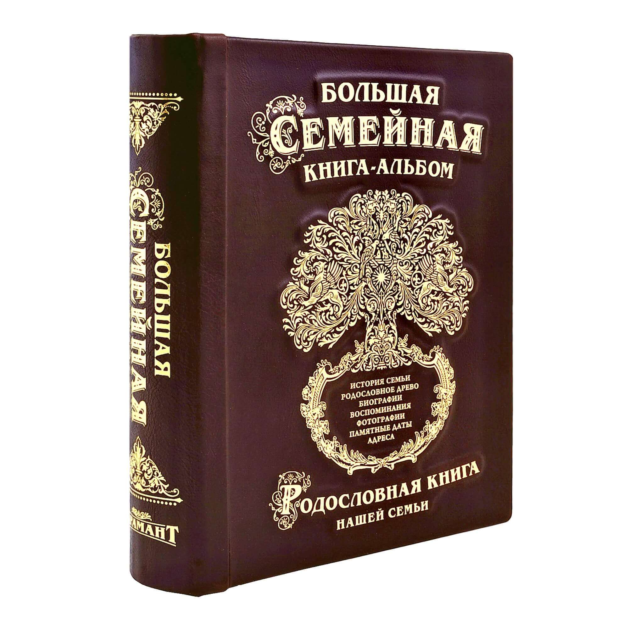 Большая книга "Семейная родословная" 