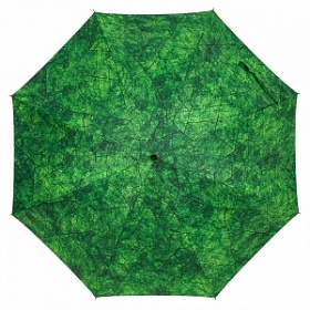 Зонт "Вечнозеленый"